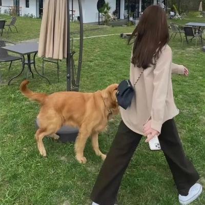 :大战皇家赌场